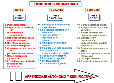 Funciones cognitivas en las fases de input (antes de aprender), de elaboración (mientras se aprende) y de output (después de aprender)